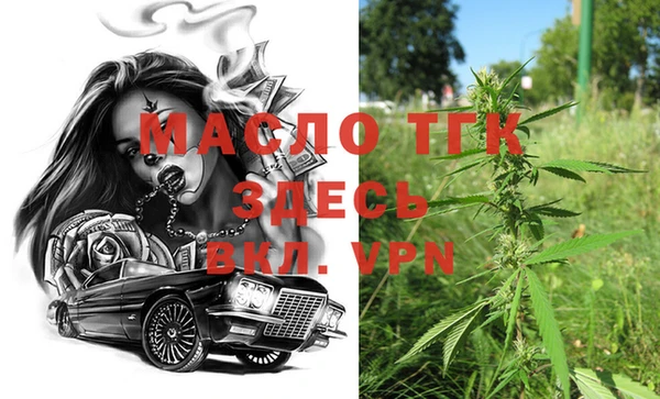 метадон Инта