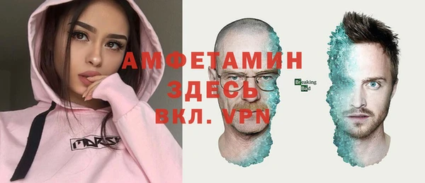 соль ск Инсар