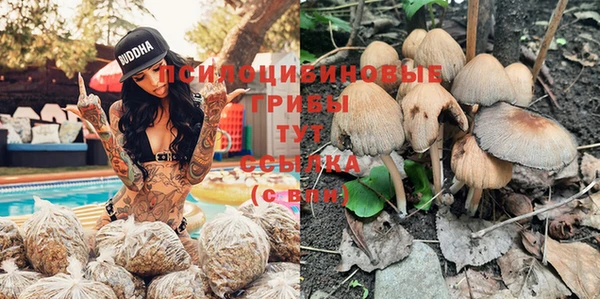 COCAINE Корсаков
