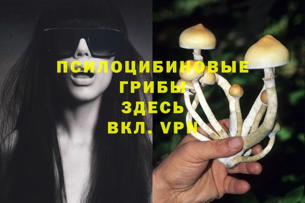 круглые Бронницы
