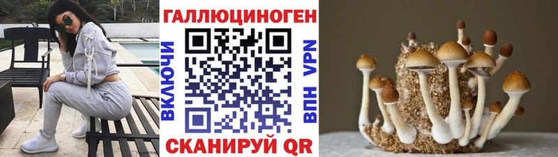 Псилоцибиновые грибы GOLDEN TEACHER  Данилов 