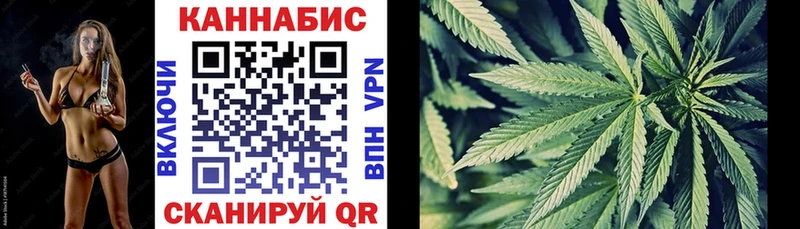Каннабис гибрид Данилов